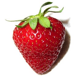 Strawberries 1lb Clam thumbnail