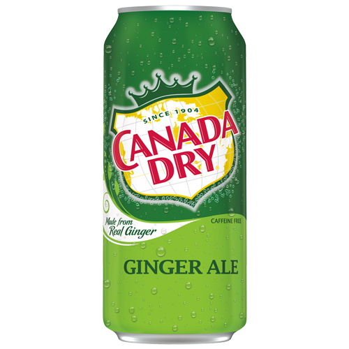 Canada Dry Ginger Ale 16.9oz SH3 C thumbnail