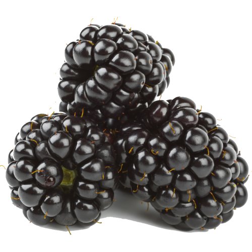 Blackberries 12oc Clam thumbnail