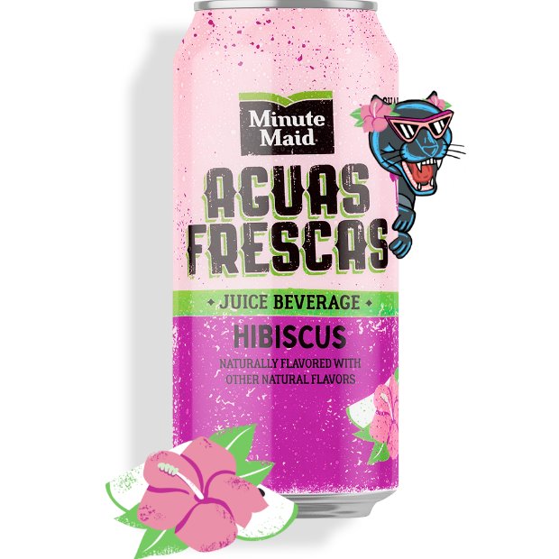 Minute Maid Aguas Frescas Hibiscus 16oz SH1 thumbnail