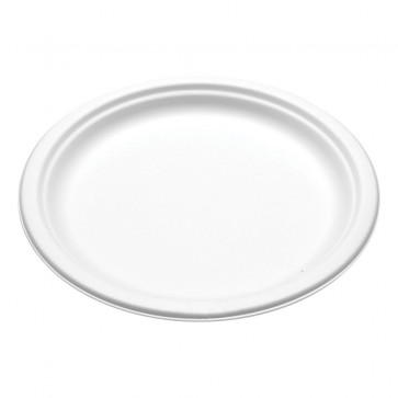 7" Compostable White Paper Plate WHBRG 125ct thumbnail