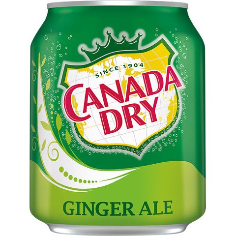 Ginger Ale Mini 8oz cans 10pk thumbnail