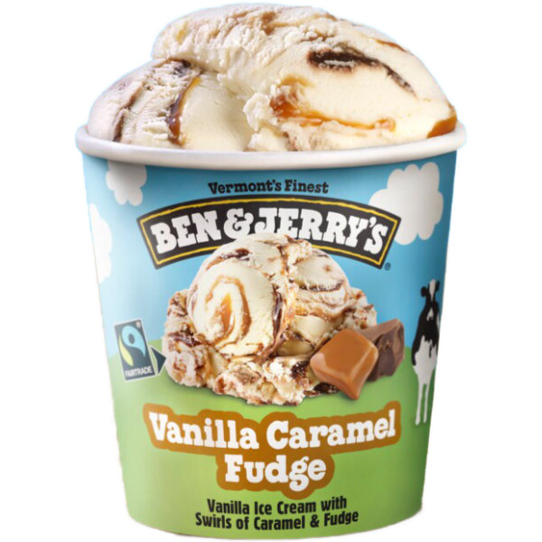 Ben & Jerry Caramel Fudge Pint thumbnail