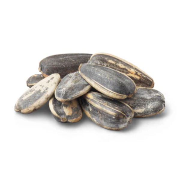 Jumbo Roasted Sunflower Seeds Salted In Shell 5lb thumbnail